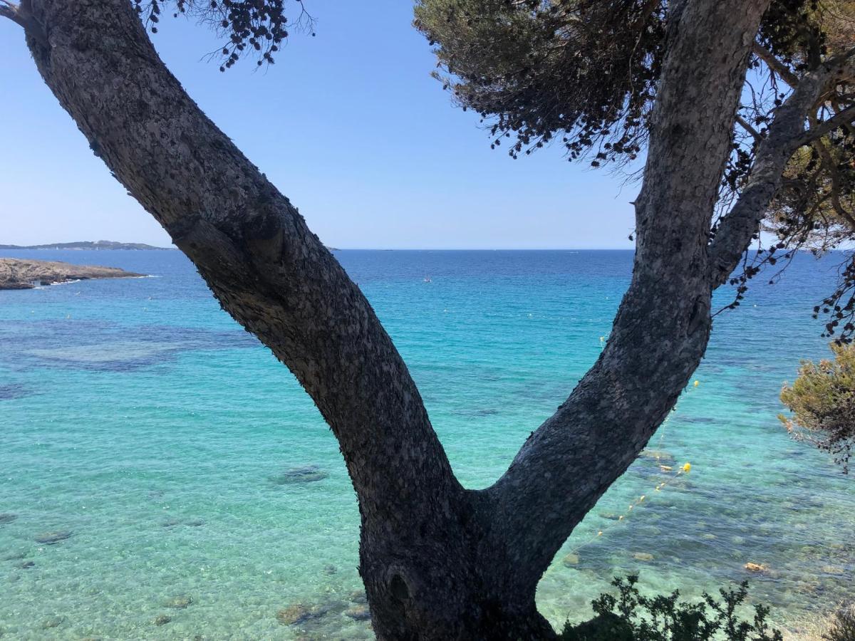 Les Baux 1 Appartement Sanary-sur-Mer Buitenkant foto